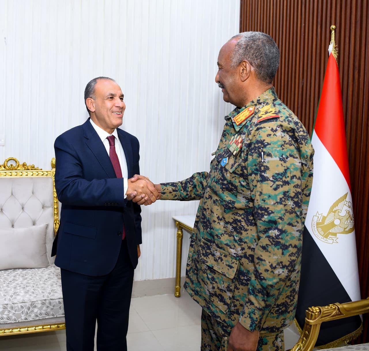 وزير الخارجية: نوفر تسهيلات للسودانيين المتواجدين بمصر للعودة الطوعية لبلدهم عقب هدوء الأوضاع - الخليج الان