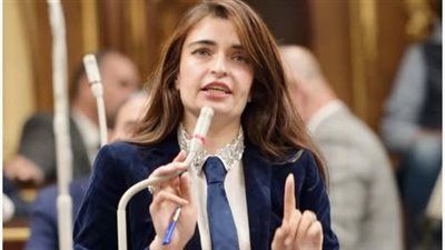 النائبة إيرين سعيد: ملاحظات الرئيس على «الإجراءات الجنائية» تؤكد قراءته للقانون بشكل تفصيلي وعميق - الخليج الان