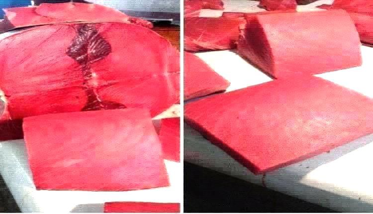 أسعار الأسماك اليوم الأربعاء فى عدن 1 اكتوبر 2025م