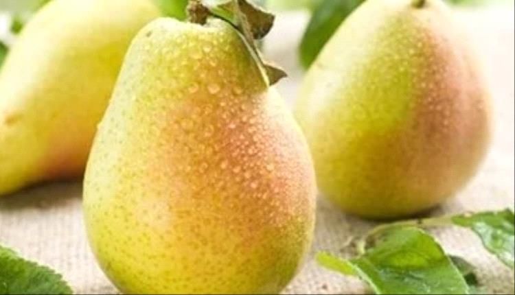 لمرضى السكر.. 10 فواكه تناولها بأمان دون ارتفاع مستوى السكر