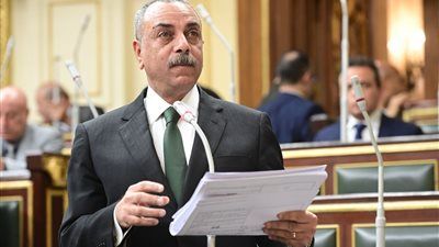 الطماوي: تقرير اللجنة العامة يؤكد الموافقة على اعتراضات الرئيس بشأن مشروع قانون الإجراءات الجنائية الجديد - الخليج الان