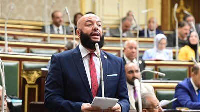 حزب النور يوافق على تقرير اللجنة العامة بشأن اعتراضات الرئيس على مشروع قانون الإجراءات الجنائية - الخليج الان