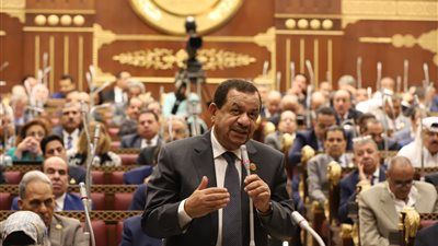 النائب عبد السلام الجبلي يطالب بـالدعم والتوعية المبكرة للمنتفعين بأراضي طرح النهر بمخاطر الفيضان - الخليج الان