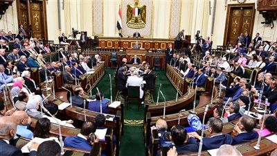 طلب إحاطة لرئيس الوزراء بشأن افتتاح مدرسة للرقص الشرقي - الخليج الان