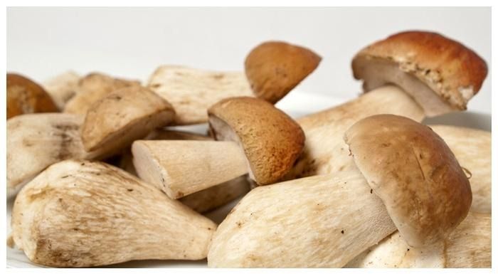 أغلى خضار في العالم.. من رمز البساطة إلى رفاهية تفوق الذهب - الخليج الان