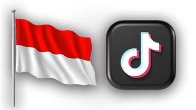 بسبب خلاف حول مشاركة البيانات.. إندونيسيا تعلق تسجيل تطبيق تيك توك مؤقتًا - الخليج الان