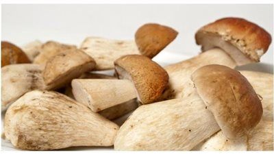 أغلى خضار في العالم.. من رمز البساطة إلى رفاهية تفوق الذهب - الخليج الان