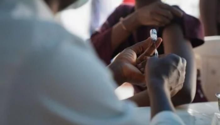 تحذيرات صحية في السنغال بعد ارتفاع إصابات حمى «الوادي المتصدع»