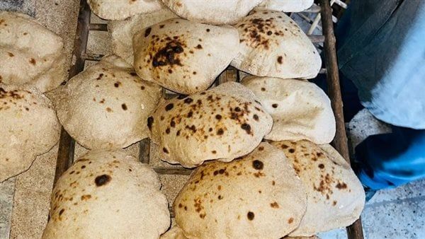 تحرير 38 محضرًا لمخالفات بمخابز القليوبية خلال حملات تموينية اليوم
