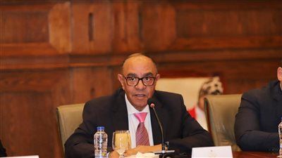 عادل ناصر: كلمة الرئيس في ذكرى أكتوبر تعكس رؤية مصر الجديدة.. جيش قوي وسلام عادل - الخليج الان