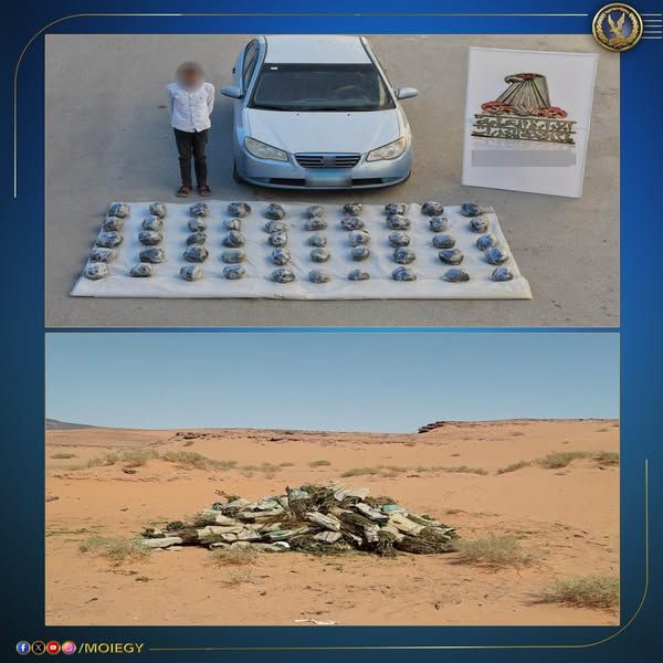 ضربة موجهة لمافيا الكيف.. ضبط 180 مليون قيمة مواد مخدرة بحوزة بؤرة إجرامية في الجناين بالسويس - الخليج الان