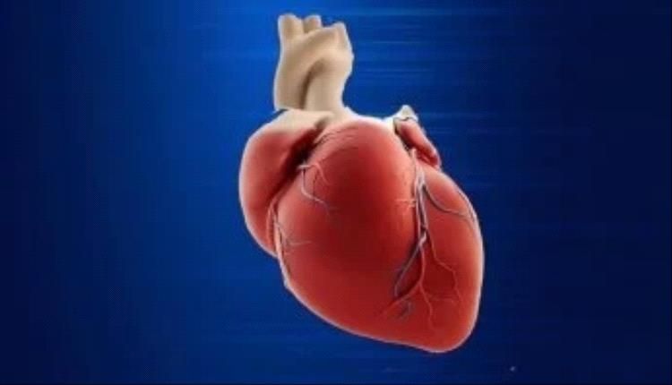 تناول العشاء قبل النوم مباشرة يضر بصحة قلبك.. اعرف السبب