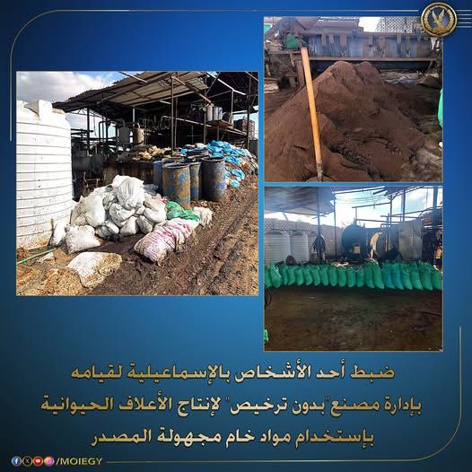 ضبط 10 طن أعلاف مغشوشة في مصنع بدون ترخيص بالإسماعيلية.. والقبض على صاحبه - الخليج الان