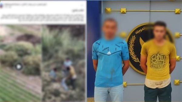 والد أحدهما عقره كلب.. ضبط شخصين جمعا الكلاب الضالة في أجولة ببني سويف