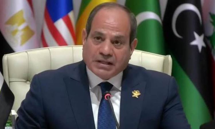 الرئيس السيسي: نواصل العمل على بناء وانضباط مؤسسات الدولة