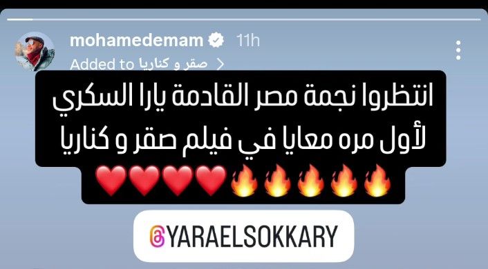 نجمة مصر القادمة.. محمد إمام يتحدث عن تعاونه مع يارا السكري في صقر وكناريا - الخليج الان