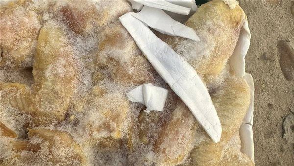 ضبط 1200 كيلو لحوم غير صالحة للاستهلاك الآدمي بأسيوط