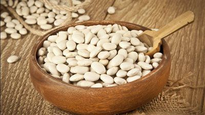 ربع مليون طن صادرات.. لماذا تكثف مصر جهودها في استنباط أصناف جديدة من الفاصوليا؟ - الخليج الان