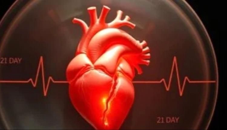 كيف تشكل الصدمات المفاجئة خطرا على القلب.. وما أهم النصائح