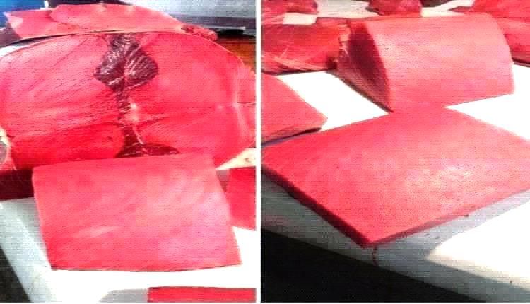 أسعار الأسماك اليوم الأربعاء فى عدن 15 اكتوبر 2025م