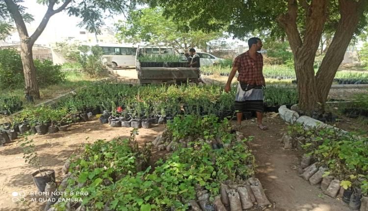 مشروع توزيع 15 الف شتلة للمزارعين والنحالين بكرش وتبن