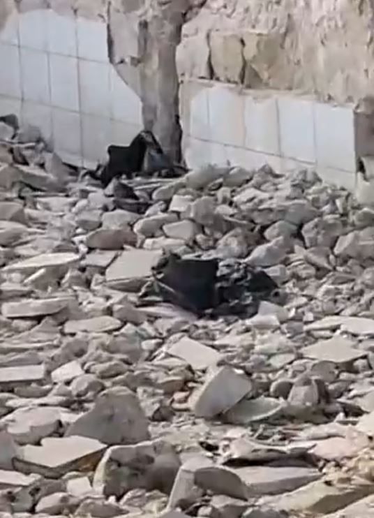 ننشر الصور الأولى من داخل منزل جريمة المنشار بالإسماعيلية.. صور - الخليج الان