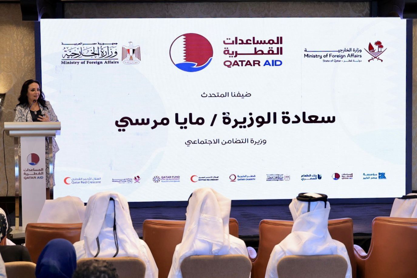 وزيرة التضامن: مصر لا تساند فلسطين بالكلمات بل بالأفعال والعمل والتضحية - الخليج الان