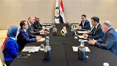 أمن الطاقة الإقليمي على الطاولة..وزير البترول يجرى سلسلة لقاءات ثنائية مع نظيره القبرصي - الخليج الان