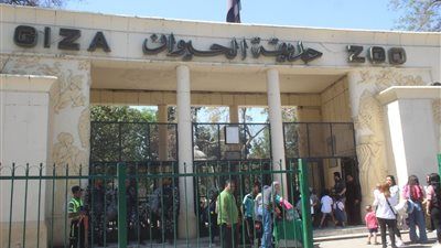 حديقة الحيوان بالجيزة تستعد للعودة بوجه عالمي بعد تطوير شامل - الخليج الان