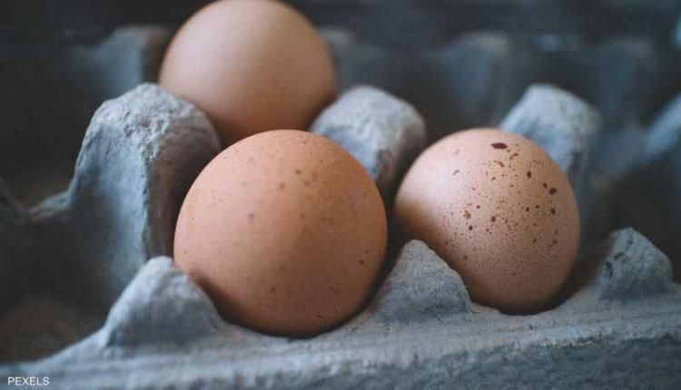 دراسة تحسم الجدل بشأن لون البيض الأكثر فائدة، الأبيض أم البني؟