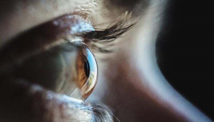 أطعمة صادمة لحماية العين من التعرض للشاشات الإلكترونية !