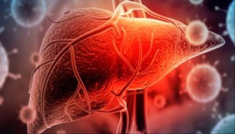 عادات صباحية للحفاظ على صحة الكبد