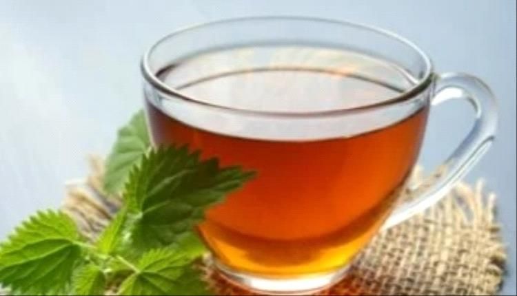 اعرف مخاطر إعطاء الشاي للأطفال.. كيف يؤثر على نموهم؟