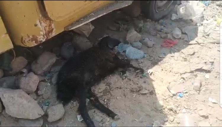 قصف حوثي على حريب بمحافظة مأرب