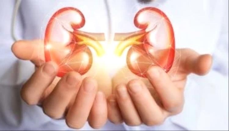 مرض الكلى المزمن أحد أخطر التهديدات الصحية بالعالم.. علامات لا تتجاهلها
