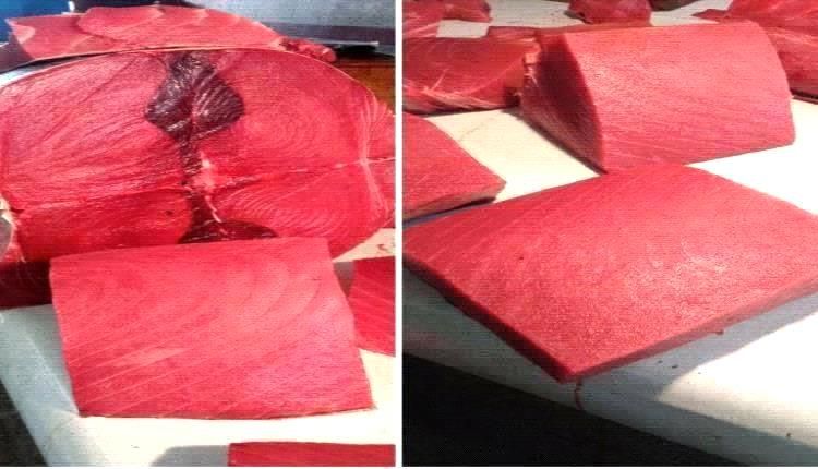 أسعار الأسماك اليوم الخميس فى عدن 13 نوفمبر 2025م