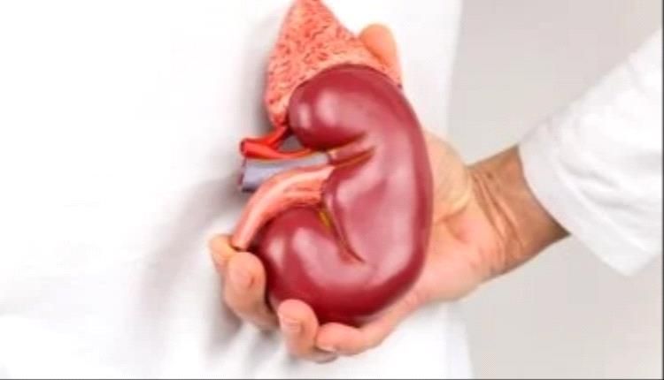 علامات لا تتجاهلها لفشل الكلى