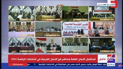 اللجنة العامة بالتجمع الخامس تعلن نتائج الحصر العددي لأصوات الناخبين - الخليج الان