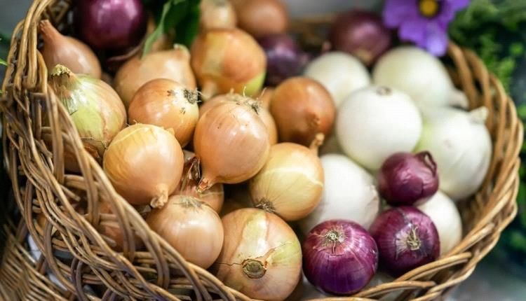 متى يستدعي تناول البصل يوميا؟