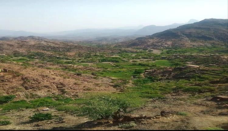 ميليشيا الحوثي تشن قصفاً مكثفاً على منازل المواطنين في قرى عهامة محافظة لحج