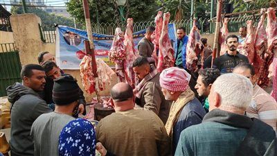 ب290 جنيه.. محافظ اسيوط يكشف حجم الإقبال على منافذ بيع اللحوم البلدي بديروط - الخليج الان
