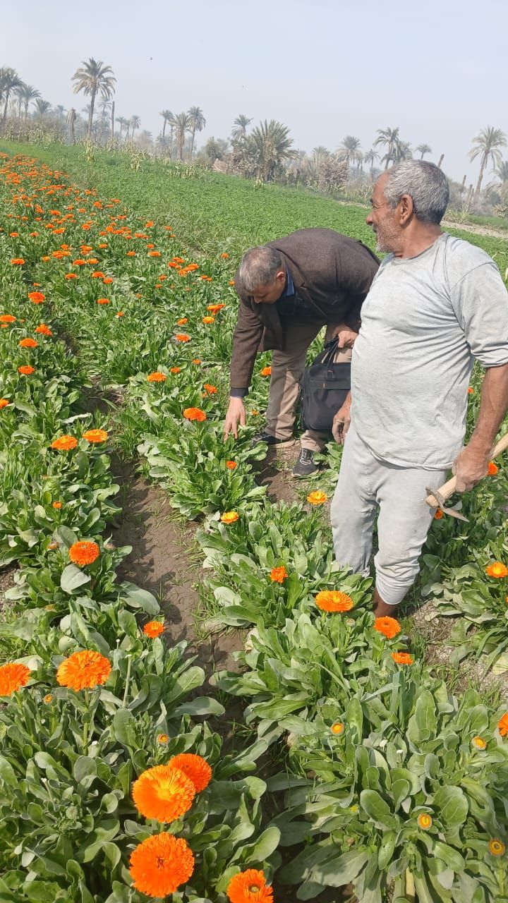 محافظ الفيوم: نهو 969 مشروعاً ضمن المرحلة الأولى من المبادرة الرئاسية "حياة كريمة" بمركزي إطسا ويوسف الصديق - الخليج الان
