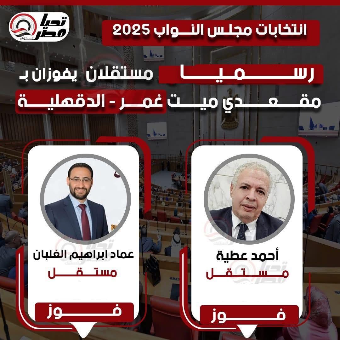 الوطنية للانتخابات تعلن فوز المستقلين أحمد عطية و عماد الغلبان لقعدي ميت غمر بالدقهيلية - الخليج الان
