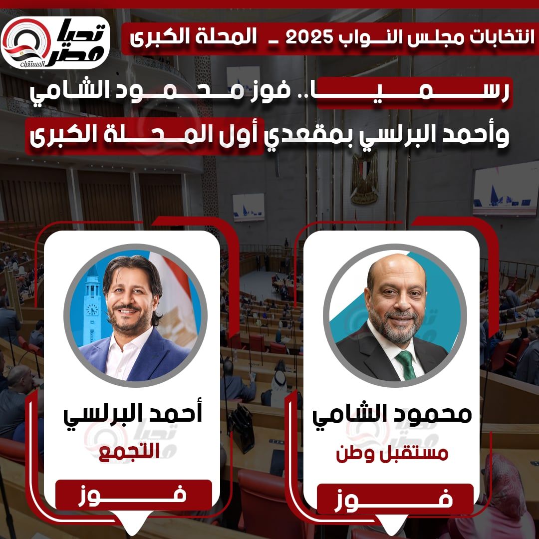 محمود الشامي وأحمد البرلسي يفوزان بمقاعد دائرة المحلة الكبرى في انتخابات مجلس النواب 2025 - الخليج الان