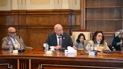 النائب حازم الجندي لوزير الخارجية: الدبلوماسية المصرية حائط الصد في الدفاع عن الدولة وتلعب دورا محوريا بملف حقوق الإنسان - الخليج الان