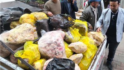 ضبط لحوم غير صالحة للاستهلاك الآدمي في المنوفية - الخليج الان