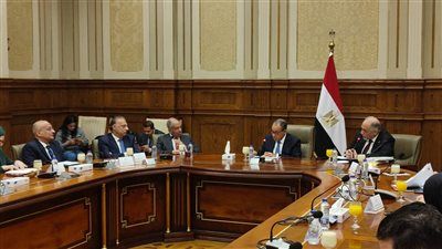 وزير الخارجية للشيوخ: مصر تلتزم بأوضاع حقوق الإنسان طواعية و ليس بمنطق «لي الذراع»و نرفض تسيس ملف حقوق الإنسان - الخليج الان