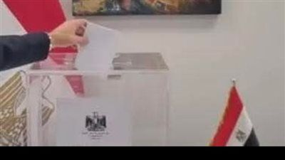 لليوم الثاني.. السفارات المصرية في 18 دولة تواصل استقبال الناخبين بانتخابات مجلس النواب - الخليج الان