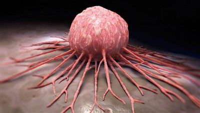 تقضي على السرطان بجرعة واحدة..دراسة: بكتيريا لضفدع ياباني تخلصك من الأورام نهائيا - الخليج الان