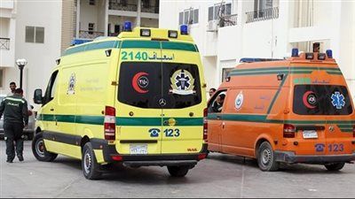 قتلة بسبب 150جنيه.. تجديد حبس المتهم بقتل جاره الشاب 15 يوم بديرمواس في المنيا - الخليج الان